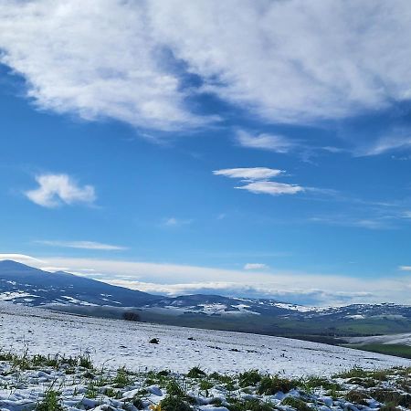 Casa Per L'Osticcio Vista Sulla Val D'Orcia Lägenhet Montalcino Exteriör bild