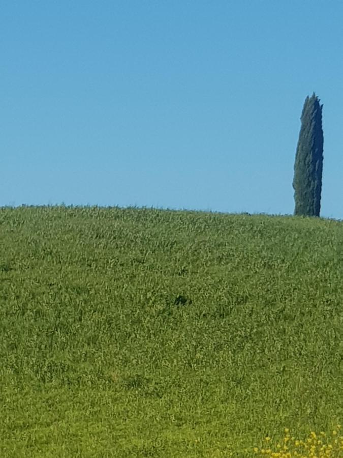 Casa Per L'Osticcio Vista Sulla Val D'Orcia Lägenhet Montalcino Exteriör bild