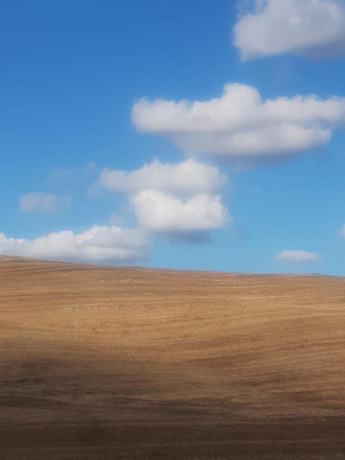 Casa Per L'Osticcio Vista Sulla Val D'Orcia Lägenhet Montalcino Exteriör bild