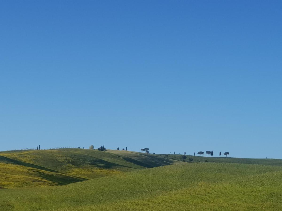 Casa Per L'Osticcio Vista Sulla Val D'Orcia Lägenhet Montalcino Exteriör bild