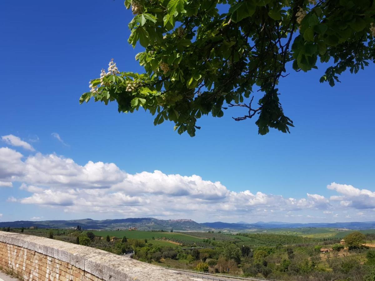 Casa Per L'Osticcio Vista Sulla Val D'Orcia Lägenhet Montalcino Exteriör bild