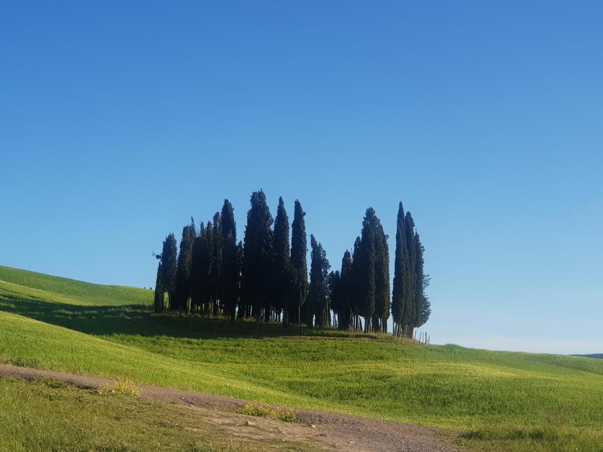 Casa Per L'Osticcio Vista Sulla Val D'Orcia Lägenhet Montalcino Exteriör bild