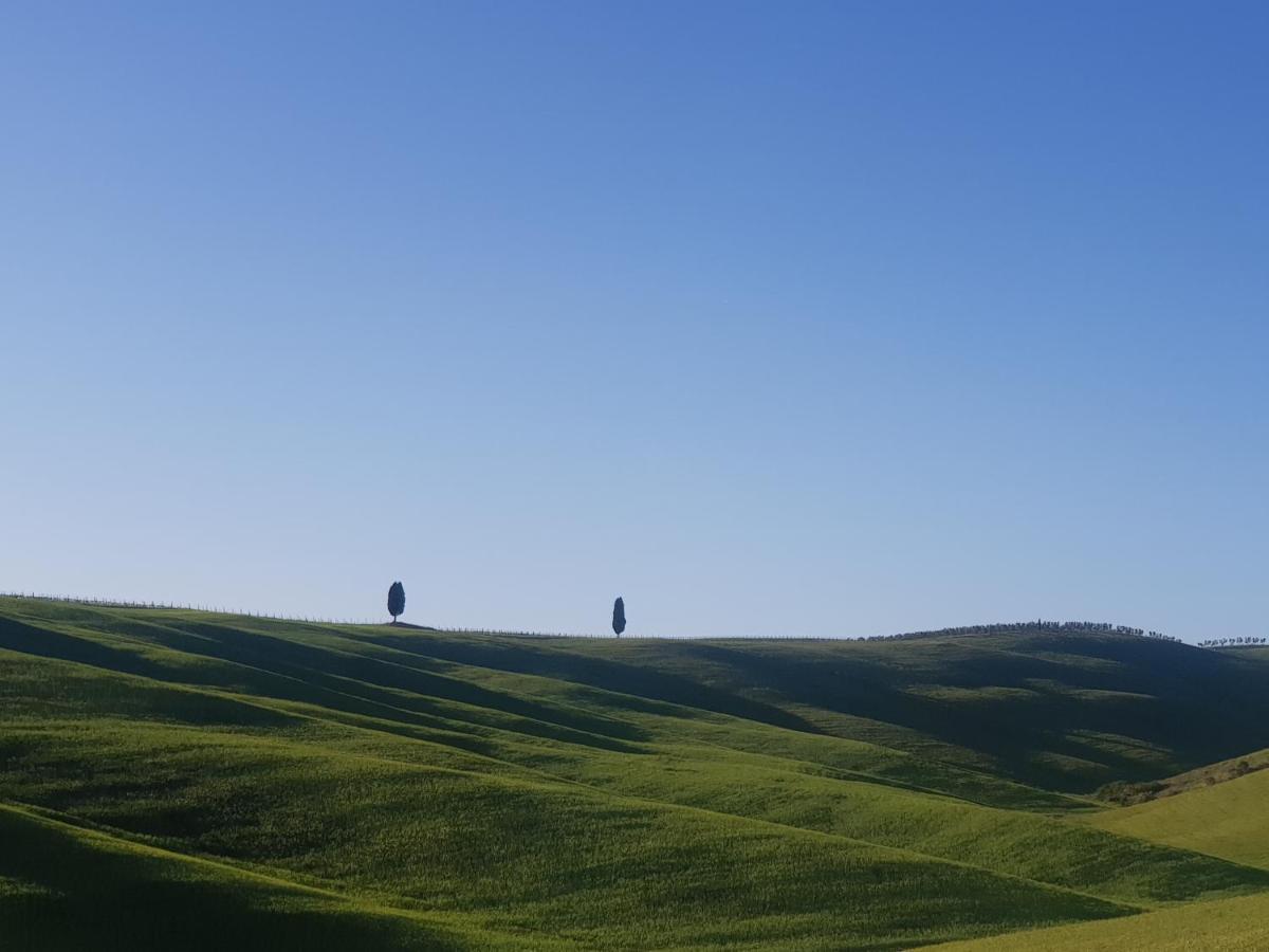 Casa Per L'Osticcio Vista Sulla Val D'Orcia Lägenhet Montalcino Exteriör bild