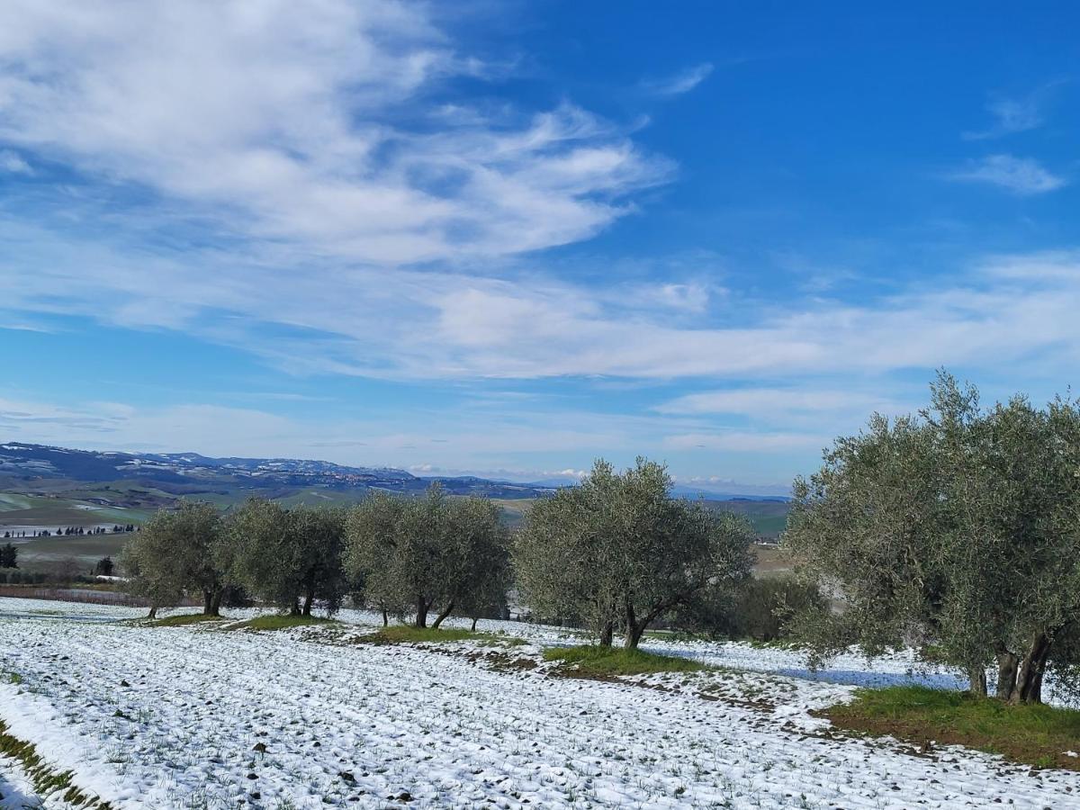 Casa Per L'Osticcio Vista Sulla Val D'Orcia Lägenhet Montalcino Exteriör bild