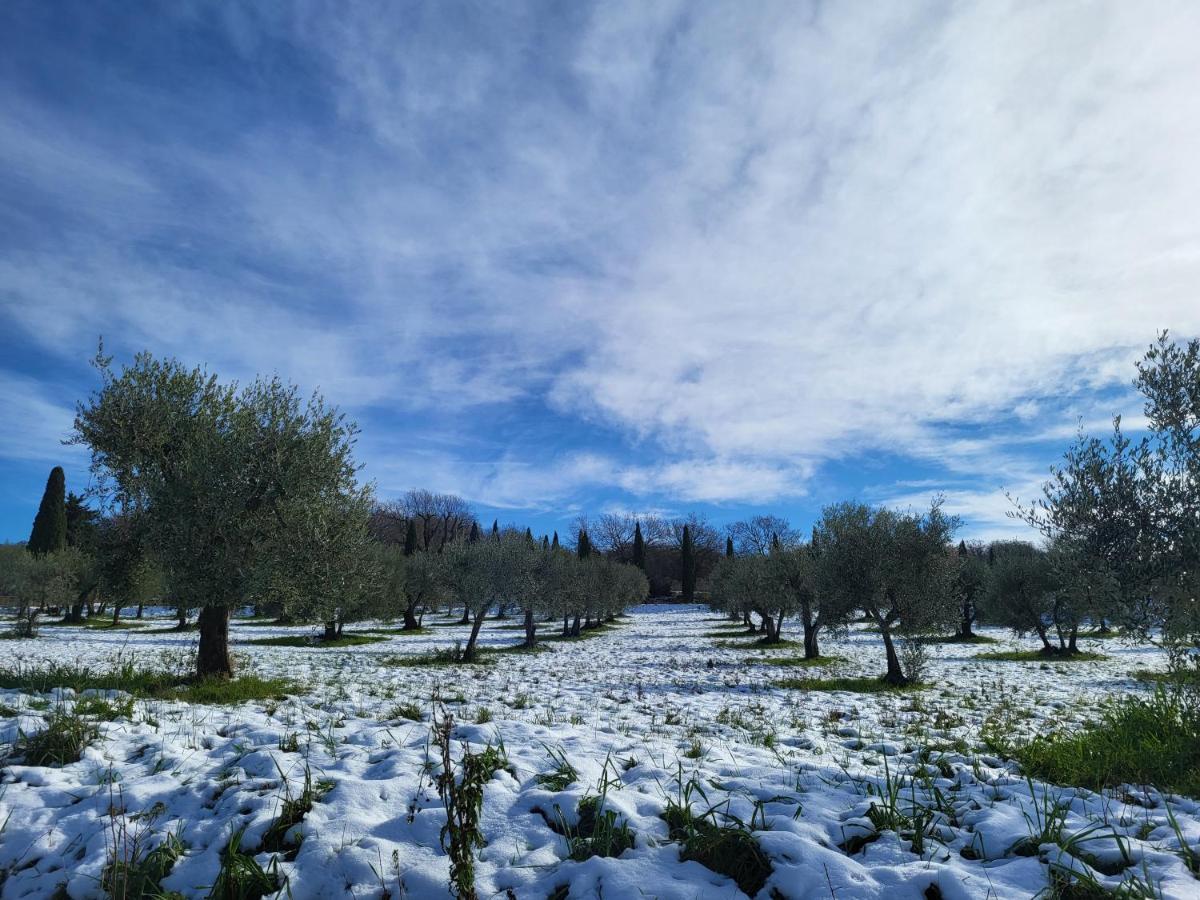 Casa Per L'Osticcio Vista Sulla Val D'Orcia Lägenhet Montalcino Exteriör bild