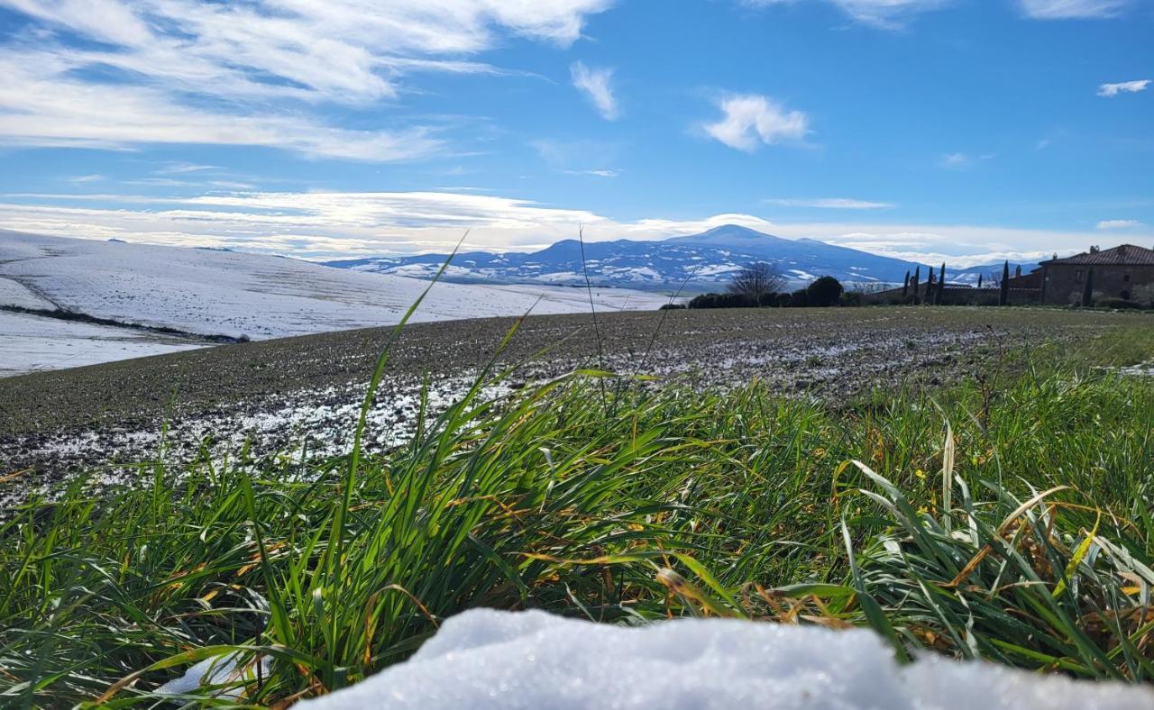 Casa Per L'Osticcio Vista Sulla Val D'Orcia Lägenhet Montalcino Exteriör bild