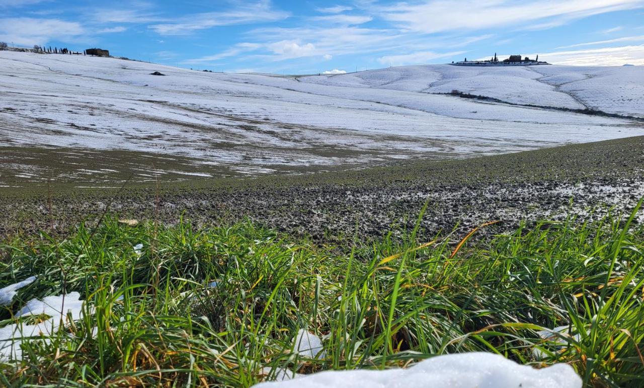 Casa Per L'Osticcio Vista Sulla Val D'Orcia Lägenhet Montalcino Exteriör bild